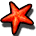 Red Starfish