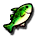 Tropical Pollock